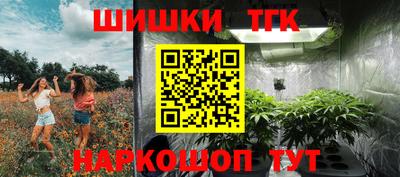 дмт Дубна