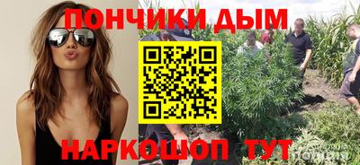 индика Донской