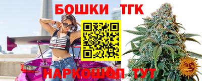 дмт Дубна