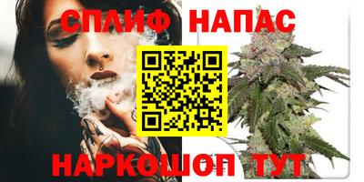 дмт Дубна